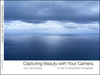 Capturing Beauty in Composition